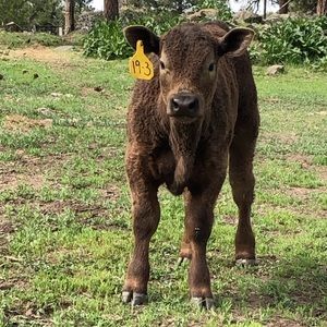 Meet your Posher, Kelci